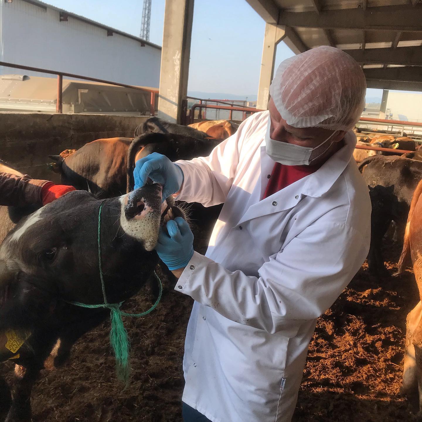 Kadıköy Kurban Galeri 4